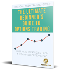 Ultimate Begginner's Guide to Options Trading